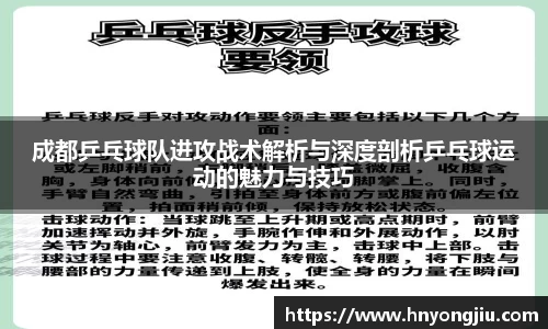 成都乒乓球队进攻战术解析与深度剖析乒乓球运动的魅力与技巧